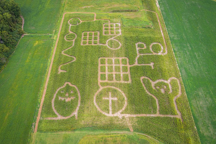 How Are Corn Mazes Made? The Fascinating Process Behind Autumn’s Favorite Puzzle
